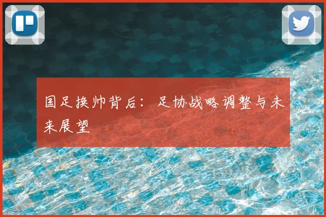 国足换帅背后:足协战略调整与未来展望