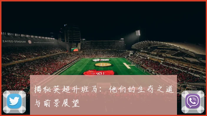 揭秘英超升班马：他们的生存之道与前景展望